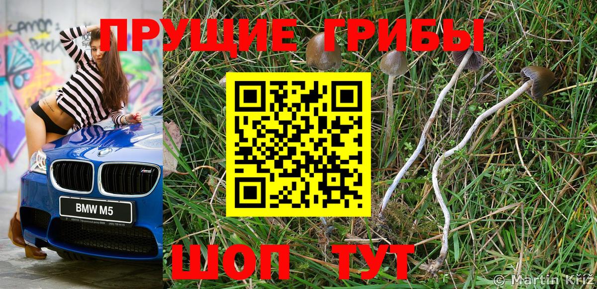 Сочи  Галлюциногенные грибы Cubensis  Вход с VPN 